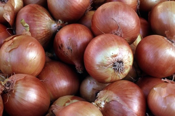 Kraken onion ru ссылка