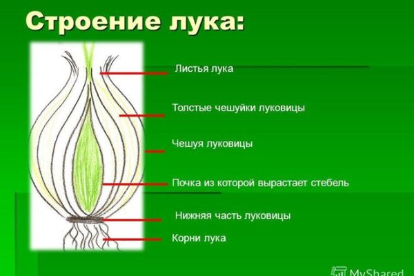 Tor onion site